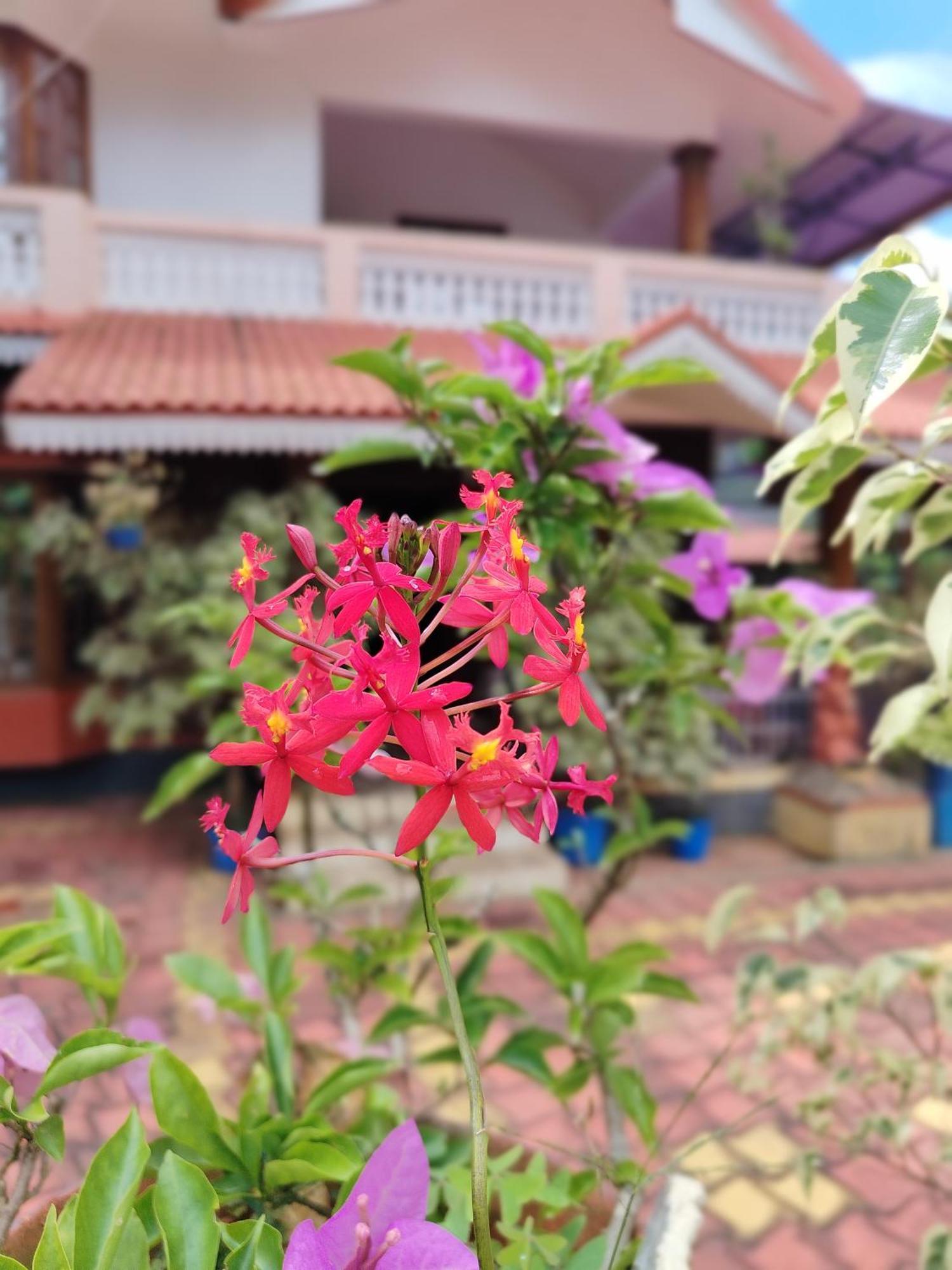 Shivalaya Homestay, Madikeri Siddapura  Exterior photo