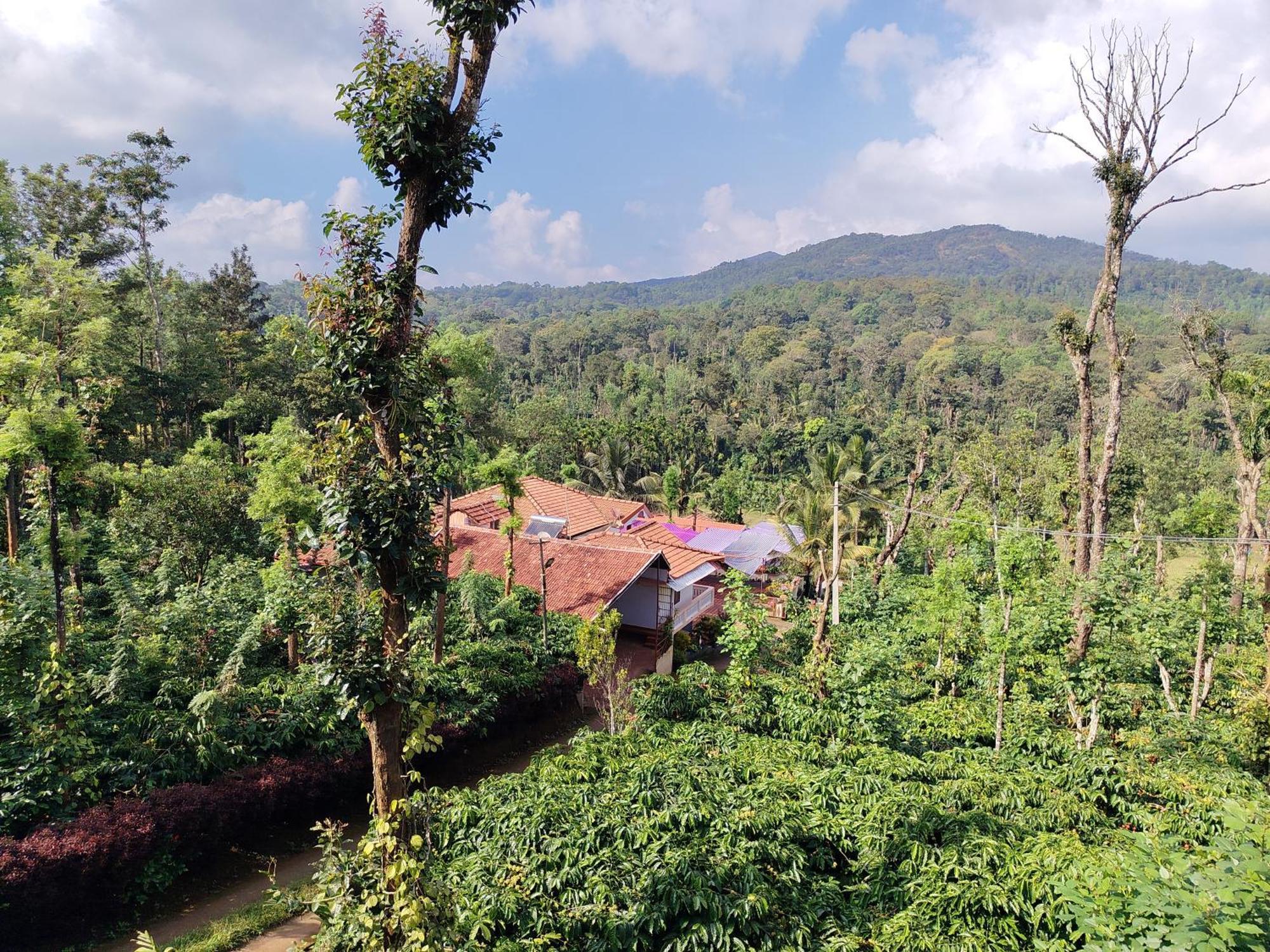Shivalaya Homestay, Madikeri Siddapura  Exterior photo