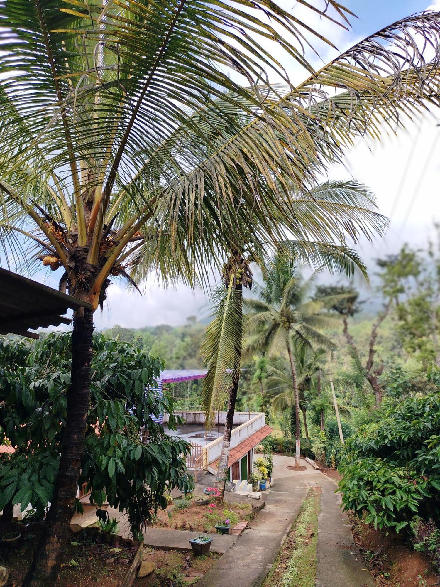Shivalaya Homestay, Madikeri Siddapura  Exterior photo